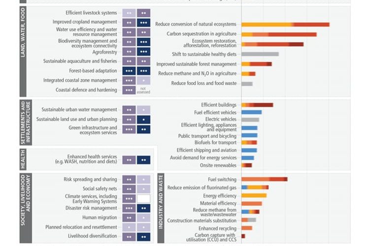 Infografica dell'IPCC sulle soluzioni per affrontare la crisi climatica